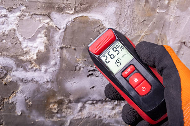 Best Mold Cleaning Services  in Falls Creek, PA