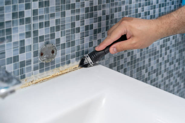 Best Fast Mold Removal  in Falls Creek, PA